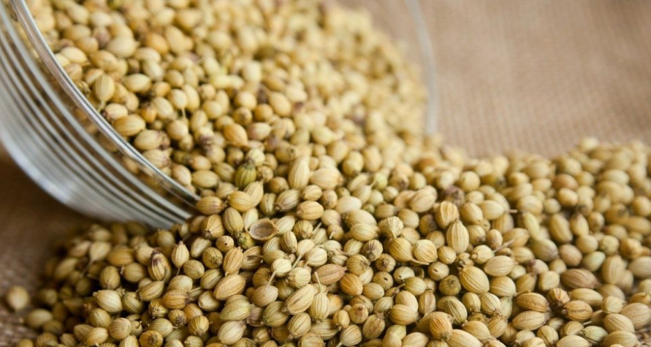 How You Can Spice Up Your Food With Whole Coriander Seeds