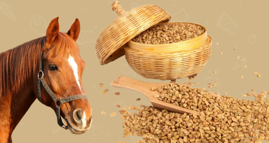 All About Using Fenugreek Powder For Horses
