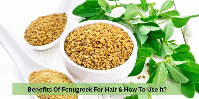 Benefits Of Fenugreek For Hair & How To Use