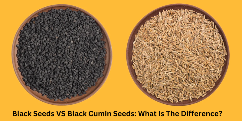Black Seeds VS Black Cumin Seeds: What Is The Difference?