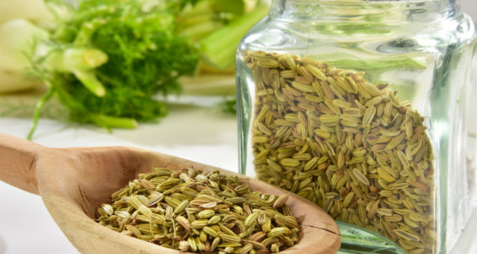 Where Can You Buy Bulk Fennel Seeds Online?